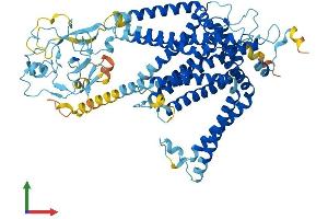 AlphaFold protein structure predicition of Human Recombinant SLC44A4 Protein, UniprotID Q53GD3 (SLC44A4 Protein (AA 1-710) (His tag))