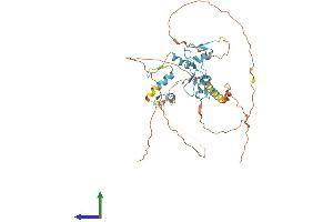 AlphaFold protein structure predicition of Human Recombinant ZNF362 Protein, UniprotID Q5T0B9