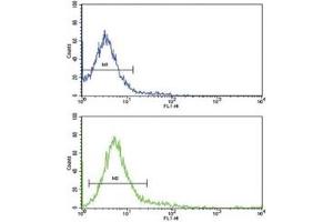 Flow Cytometry (FACS) image for anti-Protein tyrosine Phosphatase, Receptor Type, C (PTPRC) (AA 1245-1275) antibody (ABIN3032401)