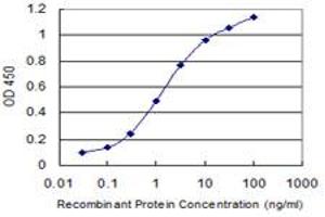 Detection limit for recombinant GST tagged DAZAP1 is 0. (DAZAP1 antibody  (AA 308-407))
