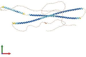 Protein Structure (PS) image for Keratin 77 (KRT77) (AA 1-572) protein (His tag) (ABIN7557926)