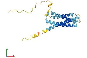 AlphaFold protein structure predicition of Mouse Recombinant Cmtm6 Protein, UniprotID Q9CZ69