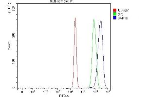 Flow Cytometry analysis of U20S cells using anti-SAP18 antibody (ABIN7599009).