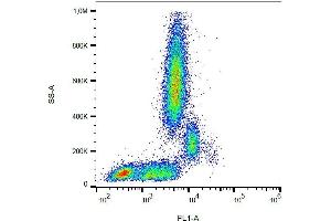 Flow Cytometry (FACS) image for anti-Platelet/endothelial Cell Adhesion Molecule (PECAM1) antibody (FITC) (ABIN94071)