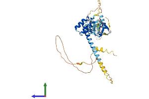 AlphaFold protein structure predicition of Human Recombinant LMX1B Protein, UniprotID O60663 (LMX1B Protein (AA 1-402) (His tag))