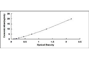 Typical standard curve (PKC gamma ELISA Kit)