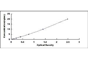 Typical standard curve (LIFR ELISA Kit)