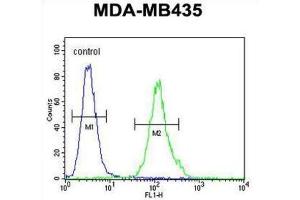 Flow Cytometry (FACS) image for anti-Membrane-Spanning 4-Domains, Subfamily A, Member 4 (MS4A4A) antibody (ABIN2995855)