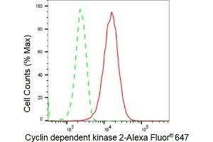 Flow cytometric analysis of Cyclin dependent kinase 2 expression in HepG2 cells using Cyclin dependent kinase 2 antibody (ABIN7798211), 1:2,000). (Recombinant CDK2 antibody)