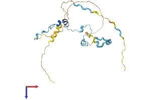 MED19 Protein (AA 1-244) (His tag)