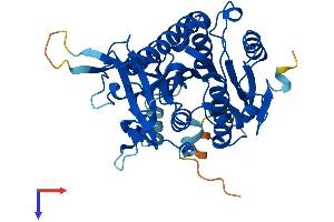 PAFAH2 Protein (AA 1-390) (His tag)