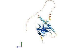 Protein Structure (PS) image for RNA (Guanine-9-) Methyltransferase Domain Containing 2 (RG9MTD2) (AA 1-339) protein (His tag) (ABIN7544630)