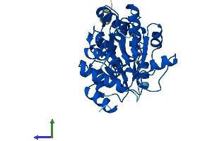 AlphaFold protein structure predicition of Human Recombinant SDSL Protein, UniprotID Q96GA7 (SDSL Protein (AA 1-329) (His tag))