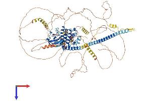 MAP3K13 Protein (AA 1-966) (His tag)