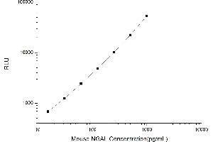 Typical standard curve (Lipocalin 2 CLIA Kit)