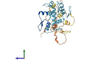 Protein Structure (PS) image for Zinc Finger Protein 705A (ZNF705A) (AA 1-300) protein (His tag) (ABIN7545238)