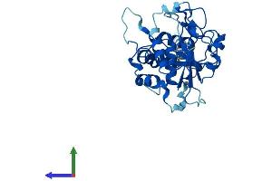 AlphaFold protein structure predicition of Human Recombinant ST3GAL6 Protein, UniprotID Q9Y274