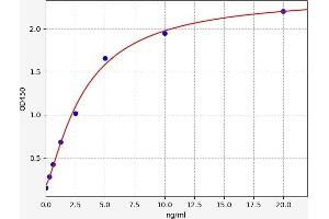 Dipeptidyl-Peptidase 4 (DPP4) ELISA Kit
