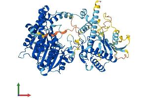 AlphaFold protein structure predicition of Mouse Recombinant Cmtr2 Protein, UniprotID Q8BWQ4