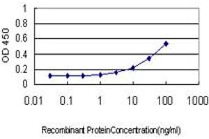 Detection limit for recombinant GST tagged ATP1B3 is approximately 3ng/ml as a capture antibody. (ATP1B3 antibody  (AA 1-279))