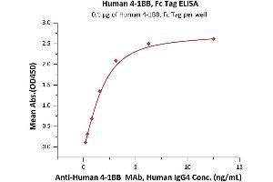 Immobilized Human 4-1BB, Fc Tag (ABIN2180548,ABIN2180547) at 1 μg/mL (100 μL/well) can bind A 4-1BB MAb, Human IgG4 with a linear range of 0. (CD137 Protein (AA 24-186) (Fc Tag))