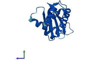 Protein Structure (PS) image for Adaptor Related Protein Complex 4 sigma 1 (AP4s1) (AA 1-144) protein (His tag) (ABIN7556328)