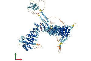 AlphaFold protein structure predicition of Human Recombinant NCAPD2 Protein, UniprotID Q15021 (NCAPD2 Protein (AA 1-1401) (His tag))