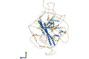 AlphaFold protein structure predicition of Human Recombinant PLEKHA7 Protein, UniprotID Q6IQ23 (PLEKHA7 Protein (AA 1-1121) (His tag))