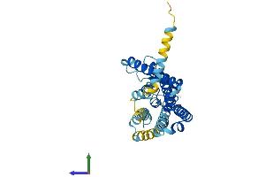 AlphaFold protein structure predicition of Human Recombinant OR5K3 Protein, UniprotID A6NET4 (OR5K3 Protein (AA 1-321) (His tag))