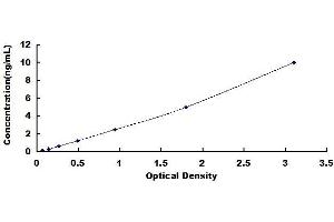 Typical standard curve (Cyclin B2 ELISA Kit)