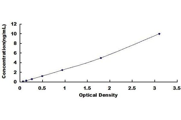 Cyclin B2 ELISA Kit