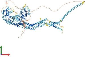 AlphaFold protein structure predicition of Human Recombinant STK31 Protein, UniprotID Q9BXU1