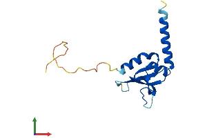 Protein Structure (PS) image for GSK3B interacting protein (GSKIP) (AA 1-139) protein (His tag) (ABIN7558577)