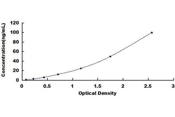 UGT1A1 ELISA Kit