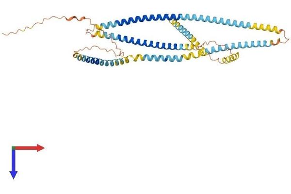 SPZ1 Protein (AA 1-430) (His tag)