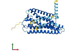 AlphaFold protein structure predicition of Human Recombinant OR8J1 Protein, UniprotID Q8NGP2 (OR8J1 Protein (AA 1-316) (His tag))