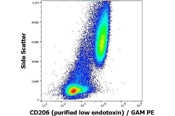 Macrophage Mannose Receptor 1 antibody