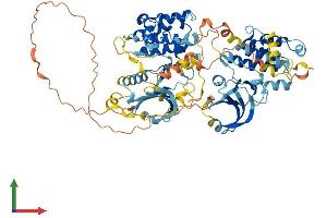 Protein Structure (PS) image for Ribosomal Protein S6 Kinase, 90kDa, Polypeptide 6 (RPS6KA6) (AA 1-764) protein (His tag) (ABIN7558254)