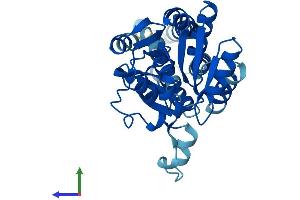 AlphaFold protein structure predicition of Mouse Recombinant Eif2b1 Protein, UniprotID Q99LC8