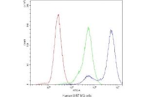 Flow cytometry testing of human U-87 MG cells with CHRNA3 antibody at 1ug/10^6 cells (blocked with goat sera) (CHRNA3 antibody)