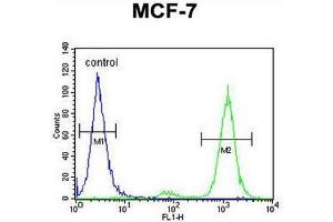 CNPY2 Antibody (C-term) flow cytometric analysis of MCF-7 cells (right histogram) compared to a negative control cell (left histogram). (CNPY2/MSAP antibody  (C-Term))