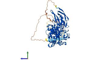 AlphaFold protein structure predicition of Mouse Recombinant Glce Protein, UniprotID Q9EPS3 (GLCE Protein (AA 1-618) (His tag))