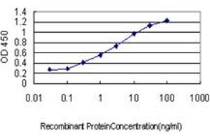 Detection limit for recombinant GST tagged MAF is approximately 0. (MAF antibody  (AA 304-403))