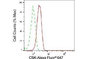Flow cytometric analysis of C-terminal Src kinase expression in HT- cells using C-terminal Src kinase antibody (ABIN7797814), 1:2,000). (Recombinant CSK antibody)