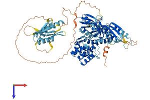 Pseudouridylate Synthase 7 Homolog-Like (PUS7L) (AA 1-701) protein (His tag)