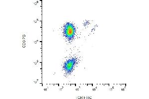 Flow cytometry analysis (surface staining) of human peripheral blood lymphocytes with anti-human TCR gamma/delta (B1) FITC. (TCR gamma/delta antibody  (FITC))