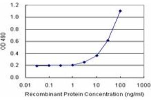 Sandwich ELISA detection sensitivity ranging from 3 ng/mL to 100 ng/mL. (CCNE1 (Human) Matched Antibody Pair)