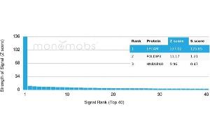 Analysis of Protein Array containing more than 19,000 full-length human proteins using EpCAM Monospecific Recombinant Mouse Monoclonal Antibody (rEGP40/1110). (Recombinant EpCAM antibody  (Cytoplasmic Domain))