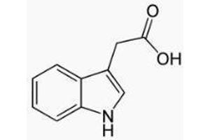 Image no. 1 for Indole 3 Acetic Acid (IAA) peptide (BSA) (ABIN5665977) (Indole 3 Acetic Acid (IAA) peptide (BSA))