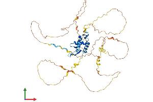 AlphaFold protein structure predicition of Mouse Recombinant Foxc2 Protein, UniprotID Q61850